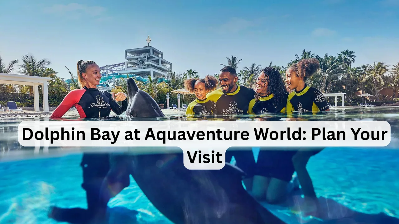 Dolphin-Bay-at-Aquaventure-World-Plan-Your-Visit