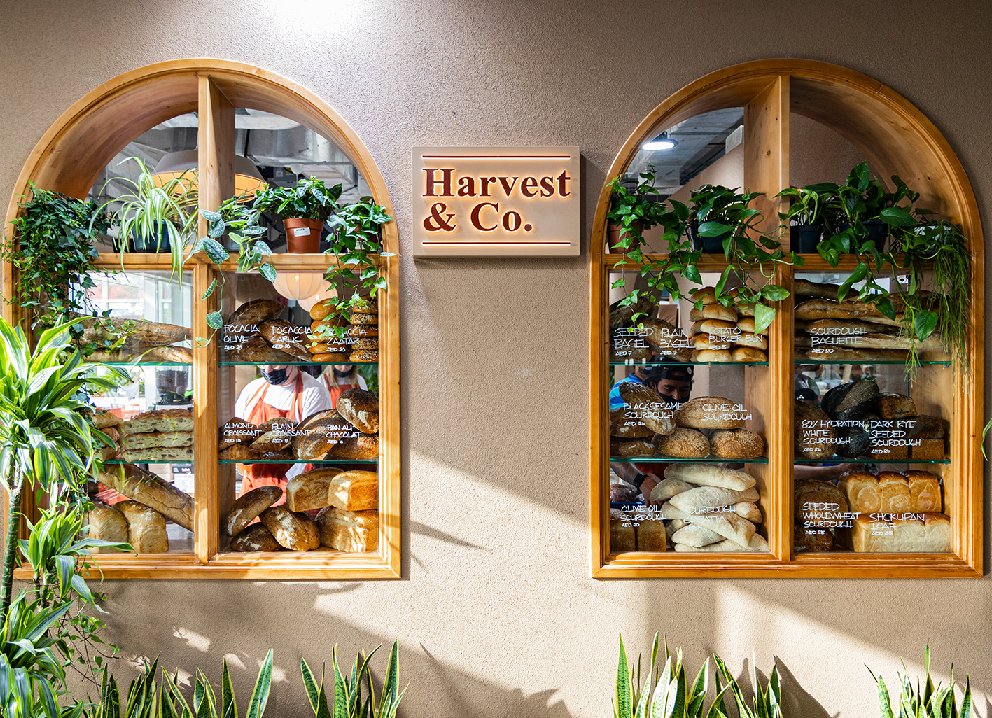 Harvest-Co-–-Dubai-Garden-Centre