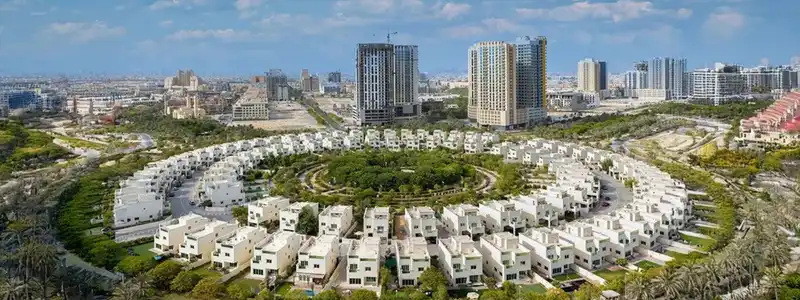 All About JVT vs JVC