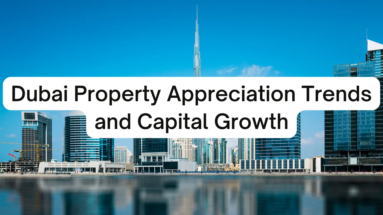 Dubai-Property-Appreciation-Trends-and-Capital-Growth